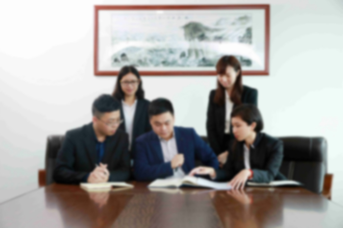 知识产权诉讼团队